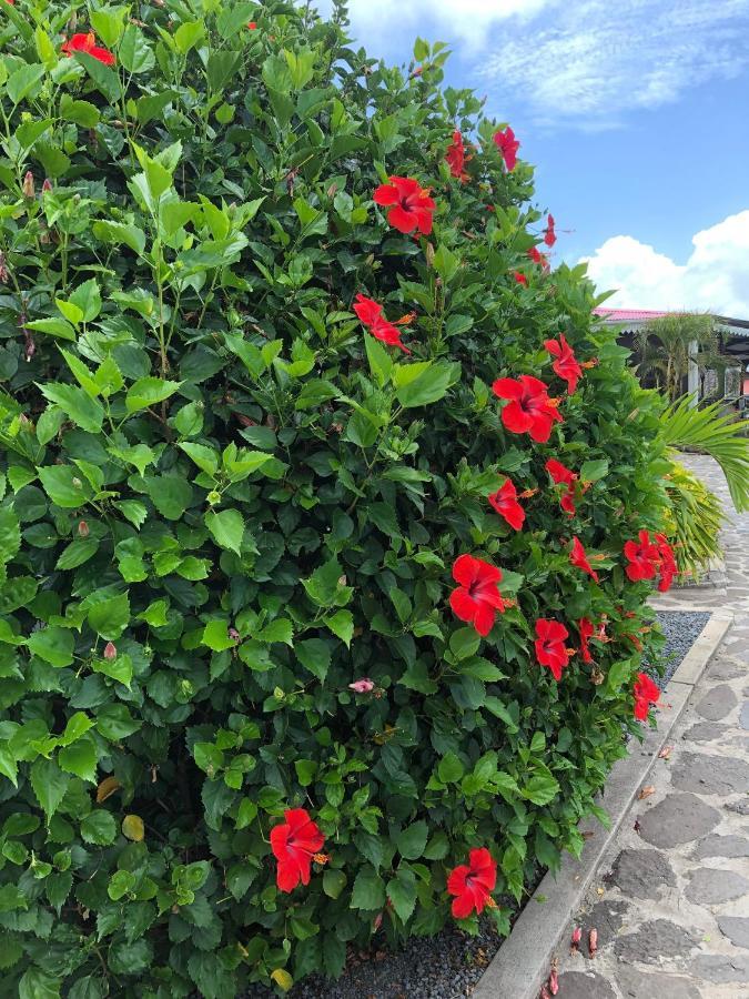 Lovely Apartment In Flic En Flac, Close To The Beach And All Amenities. Exteriör bild
